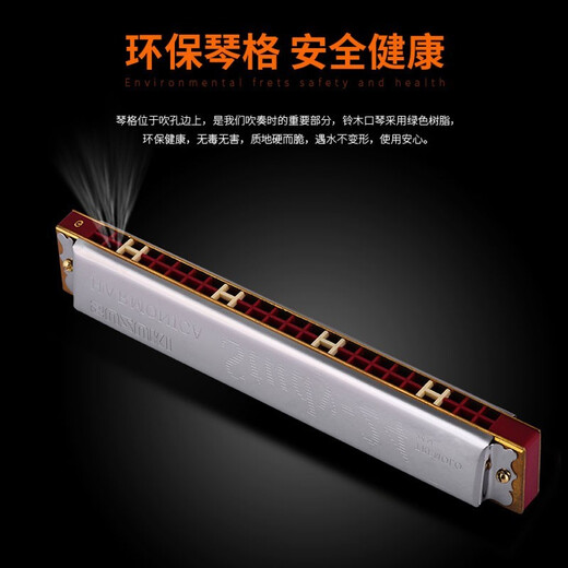 
SUZUKI Japanese Suzuki Harmonica 24-hole monotone C major beginners for students in class adult performance polyphonic harmonica 24-hole black F-touch