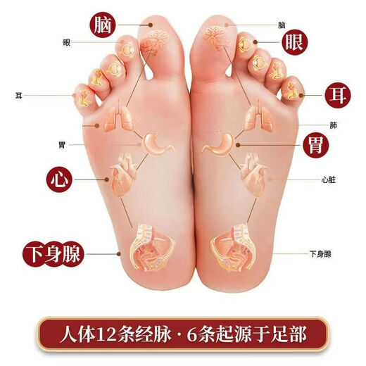 Professor Miao's Traditional Chinese Medicine Foot Care Medicinal Old Beijing Mugwort Foot Patch Foot Patch Mugwort Leaf Authentic Bedtime Patch Morning Release Beijing Foot Patch-50 Patch/Box Two Boxes with Discount