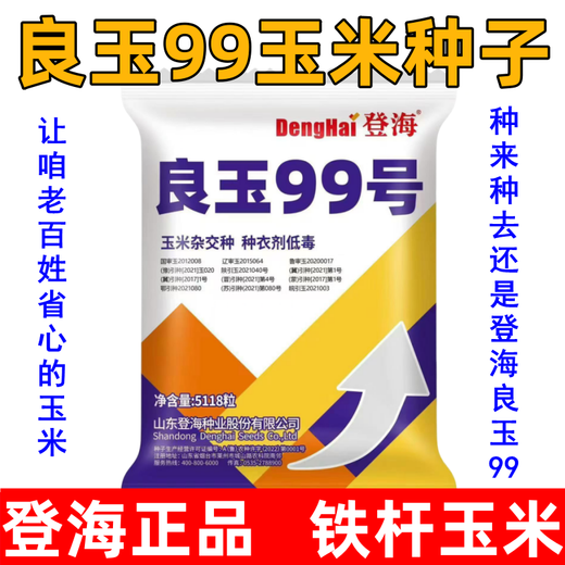 新种现货原装良玉99玉米种子抗病耐温山东登海良玉99铁杆玉米大棒 登海良玉99【5118粒3.8斤左右】x5袋
