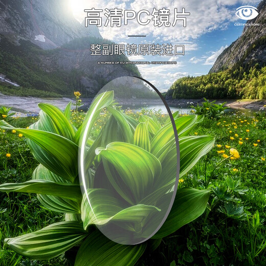 纳尼尼（NANNINI）意大利进口防蓝光老花镜轻薄时尚折叠便携高清舒适老光眼镜正品