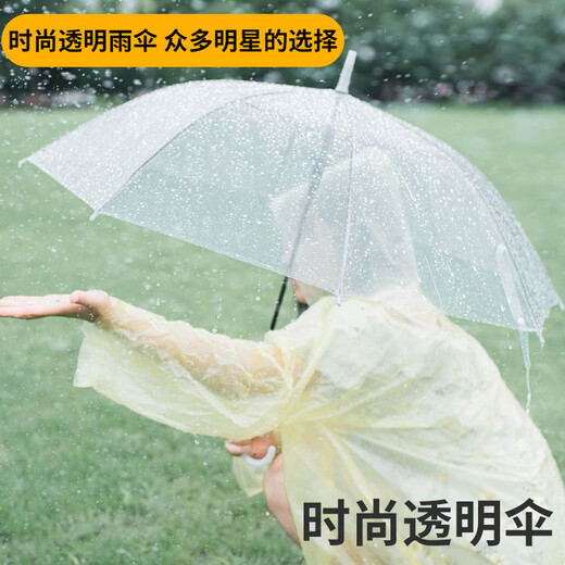 Disposable transparent white umbrella