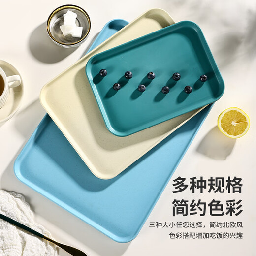 CAIZHI (CAIZHI) Rechteckige Tablett Tee Tablett Haushalt Obstschale Frühstücksschale Aufbewahrungsschale Snack Snack Tablett klein beige cz6752