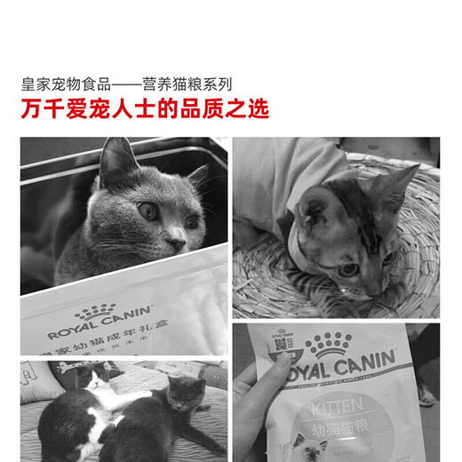 Royal cat food BK34 weaning period milk cake 1-4 months old universal K36 kitten cat food pregnant and lactating female cats K36 kitten food (4-12 months old) 10kg