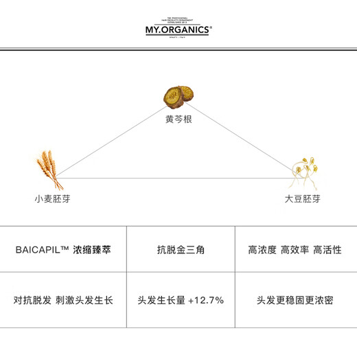 MY.ORGANICS有机活力洗发水250ml修护稳固发根减少掉发洗发露【现货速达】