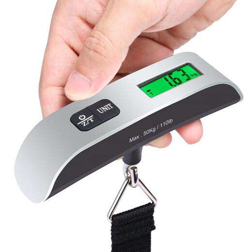 Wilkie portable electronic scale high-precision food luggage weighing mini spring scale hook scale household small scale electronic portable scale 50kg10g