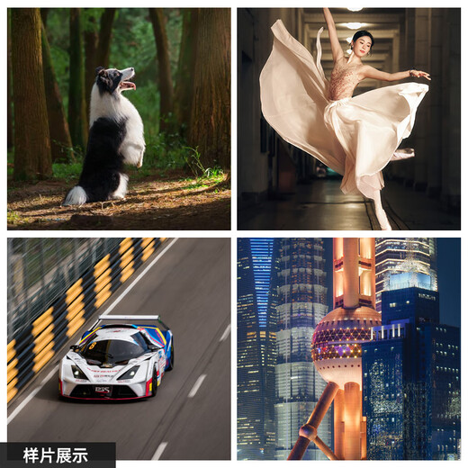 SIGMA 70-200mm F2.8 DG DN OS | Sports full-frame mirrorless constant large aperture zoom lens 70200 (L mount)