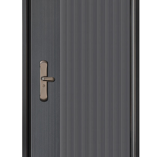 Sodelphi A-8803 Class A anti-theft door security door entry door smart door single door