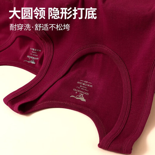 七匹狼酒红色背心男士纯棉本命年全棉透气无袖衫修身打底汗衫马甲送礼物 【鸿运酒红】1件背心 2XL /180