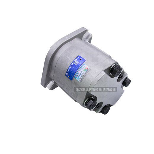 长源齿轮泵CBF-F650/F663/F671/F680/F690/F6100AFP修理包 CBF-F671-AFHL