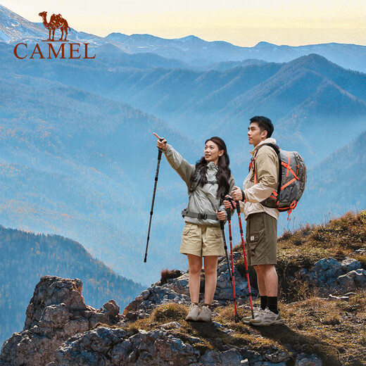 骆驼（CAMEL）登山杖手杖户外徒步爬山轻便携伸缩多功能登山装备铝合金拐杖 174BABP672薇紫色，铝合金直柄折叠280g 均码