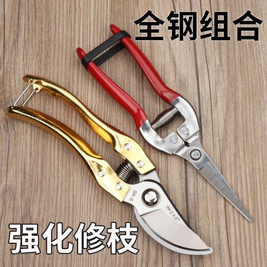 
Pruning scissors grape picking scissors garden fruit tree scissors thick branches flower scissors labor-saving branches flower scissors to prune flowers Boxing Xinnong H De14116 high-end straight scissors