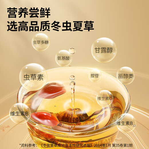 同仁堂品牌冬虫夏草约3根/g1g约3根冬虫草高端营养滋补品长辈北京同仁堂
