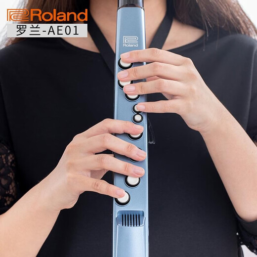 贤怀达正品日本品牌Roland罗兰AE-01电吹管老人电萨克斯电子乐器二胡AE0 罗兰AE-01C民族版(套餐四)