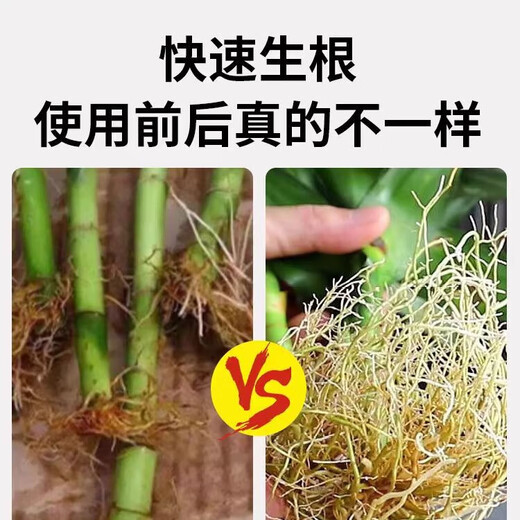 50% indolebutyric acid, indolenaphthalene acetic acid, high concentration rooting agent, rooting powder, seedling transplanting, cutting rooting promotion, 10 bottles (20g/bottle), free 1g measuring spoon