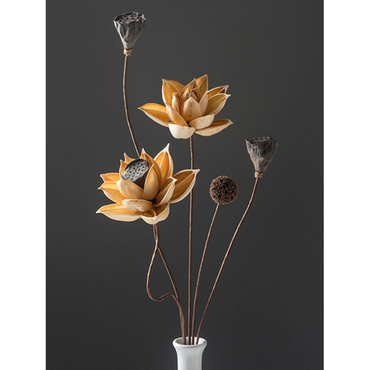 Bouquet von echten Blumen Ornamente von lotus luftgetrockneten Lotusschoten natürliche Lotuswurzel Zen Blume Arrangement Chinesisches Wohnzimmer Dekoration getrocknete Blume Kombination 5009 getrockneter Blütenbeutel