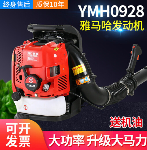 Yamaha Carousel Benzin Haartrockner Schneegebläse Hochkraft Wind Feuerlöscher Feuerlöscher Baustelle Straßenverwaltung Zwei-Takt-MYH9900-Wind 17.0