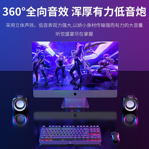 纽曼BT55 电脑音响音箱 家用桌面重低音炮迷你有源音箱多媒体台式机笔记本电脑USB有线小音响 经典白