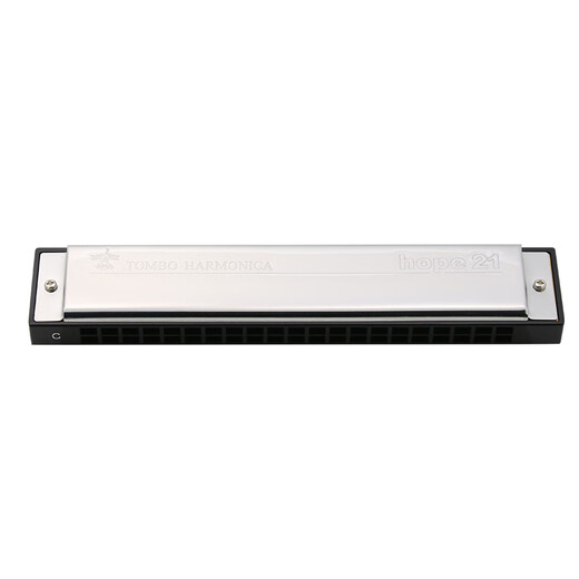 Tongbao 21 hole polyphonic harmonica for children adult beginners C tune introductory playing musical instrument imported gong 6621 hole 21 hole - #D (E flat) tune