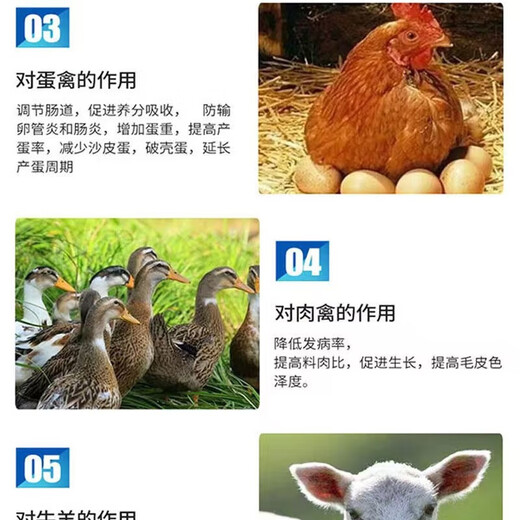 Fast selling montmorillonite powder powder for veterinary use for pigs, cattle, sheep, cats, dogs, rabbits, chickens and ducks, diarrhea, enteritis, diarrhea, weaning and breastfeeding, anti-dysentery and diarrhea medicine, 5 packs, get 2 packs free (send 7 packs)