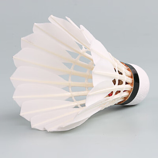 亚狮龙（RSL）羽毛球D5鹅毛专业比赛耐打稳定77速1桶12只装