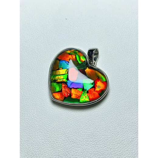 DRJEFUN Canadian Ammonite Pendant Ammonite Pendant Ammonite Pendant