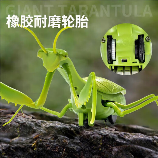 ZHIO遥控螳螂电动仿真玩具抖音整蛊神器蟑螂男孩会动的蜘蛛爬行小动物 【经典版-遥控苍蝇】蓝色款9921 标配