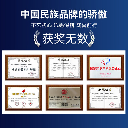 Amason Pearl River Amason VP119S electric piano 88-key heavy hammer professional beginner children's home electronic digital piano VP119S white