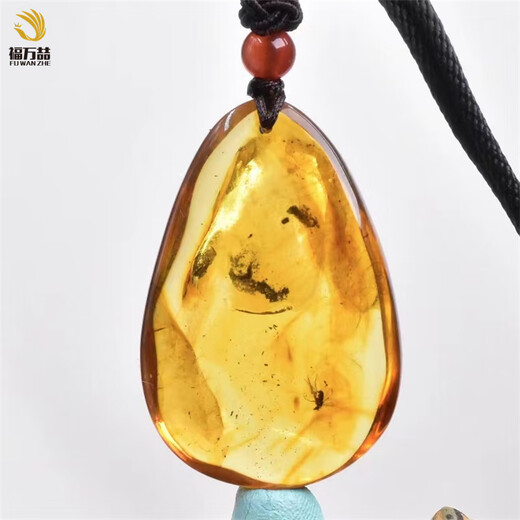 Fuwanzhe Insect Amber Pendant Natural Insect Amber Beeswax Pendant Fly Amber Water Drop Pendant 8.27g