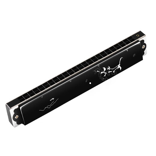 SWAN 24-hole polyphonic harmonica advanced adult beginner professional playing harmonica C key Chinese style design (black)