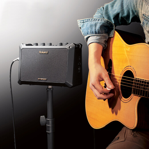 Roland (Roland) Mobile AC acoustic guitar speaker playing and singing electric blowpipe sound amplification portable multi-functional stereo speaker MOBILE-AC