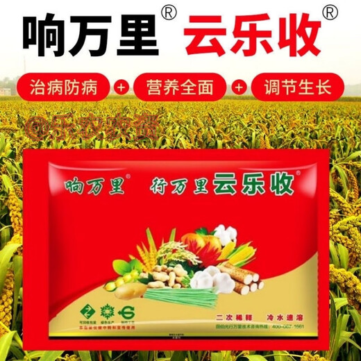 Yunle Harvest Wheat Peanut Yunle Harvest Rice Package Chili Fruit Leaf Surface Fertilizer Conditioner Hongba Yunle Harvest 20 Sets