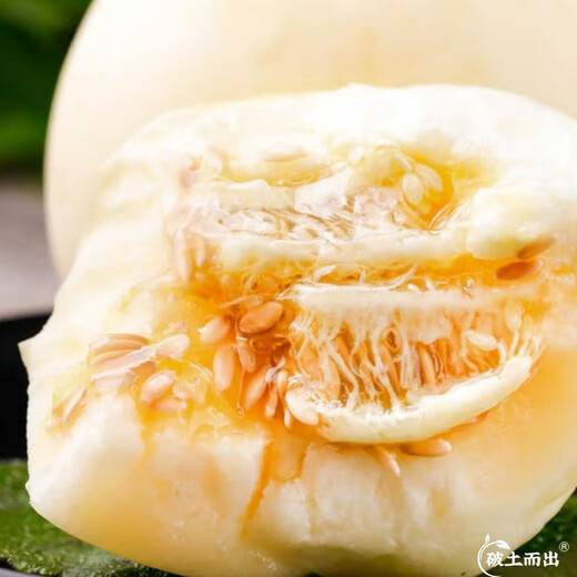 Dayu White Sand Honey Melon Seed Seedlings Complete Seedlings Genuine Cantaloupe Seeds Old Varieties Sui Melon Extra Large White Sand Honey Melon Seeds 150 Cantaloupe Seeds