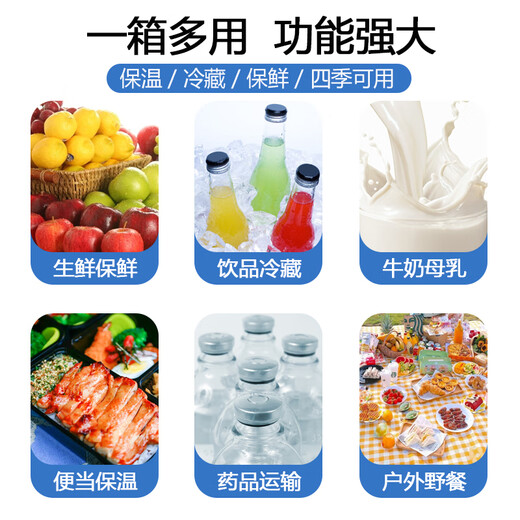 ICERS Eisensi 3L Insulation Box PU Medical Insulin Refrigerator Outdoor Breast Milk Refrigerator Meal Heat-keeping with 4 Ice Bags