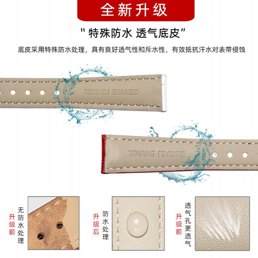 天姵适配卡西欧手表带SHEEN-5010/5023/4019/3019真皮表带女红色表链 棕色：玫瑰金色扣 16mm