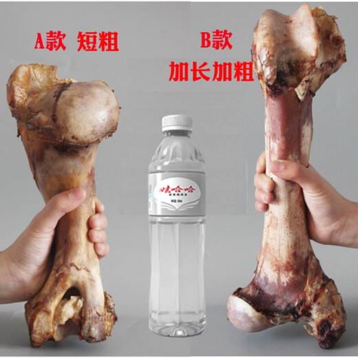 Jihui Dog Bones Molar Stick Bone Golden Retriever Erha Large and Medium-sized Dog Pet Dog Snacks Resistant to Gnawing Calcium Supplement Extra Large Beef Bone Small Size 700-1000g/About 30cm 1 month (inclusive) - 3 months (inclusive)