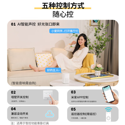雷士（NVC） led智能吸顶灯客厅灯卧室灯风扇灯套餐轻奢风全屋灯具灯饰 110W 30㎡内适用 5010lm 智控大灯