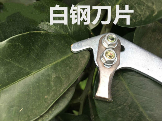 RSRDDY fruit tree girdling honey pomelo tree girdling scissors girdling device lychee tree citrus peeling knife jujube tree nail opening tool 101 knife with 1 mm blade