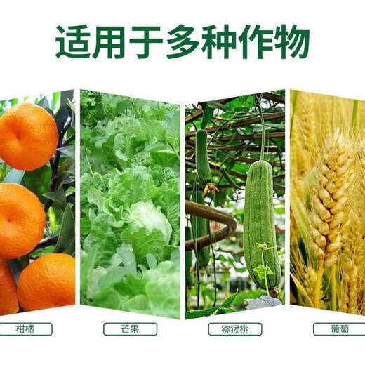 Agricultural urea phosphate is used to remediate saline-alkali soil and improve soil plants. Agricultural nitrogen and phosphorus fertilizer 1000g packaging