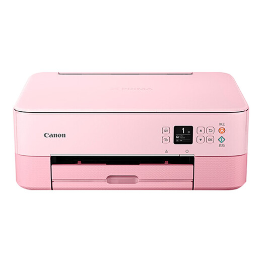 佳能（Canon）TS5380打印机连供墨仓自动双面打印复印扫描多功能一体机手机无线照片学生家用办公彩色喷墨作业 TS5380t粉红【微信远程+手机无线+自动双面】 套餐三：主机+连供墨仓+黑彩墨水8