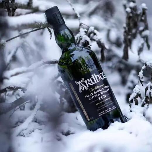 雅柏（Ardbeg）阿贝10年 雅柏系列 单一麦芽威士忌泥煤味苏格兰威士忌 700mL