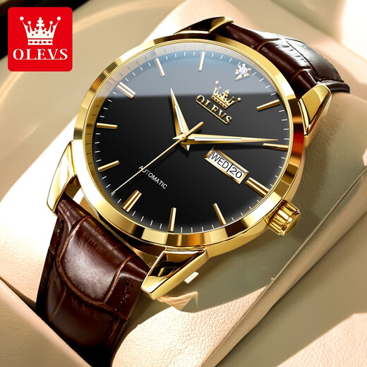 OLEVS Swiss Certified Watch Mechanical Watch Mechanical Watch Totalmente automático Moda impermeable Luminosa Business Men's Watch Olevs-6629 Men-Brown Cuero Negro Cara
