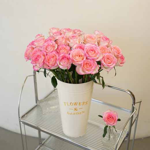 Jingdong Flowers Aisha rose 20 branches slightly spread flower type soilless cultivation home flower arrangement bouquet Shandong base direct delivery