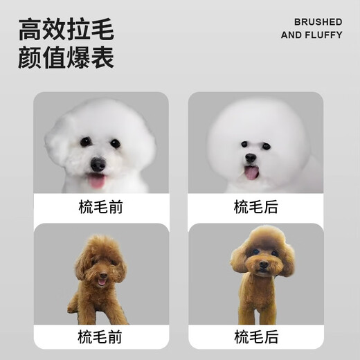 POPOCOLA cat combing brush special cat comb cat artifact needle comb pet dog cat hair comb to remove floating hair comb cleaner air cushion comb elegant gray