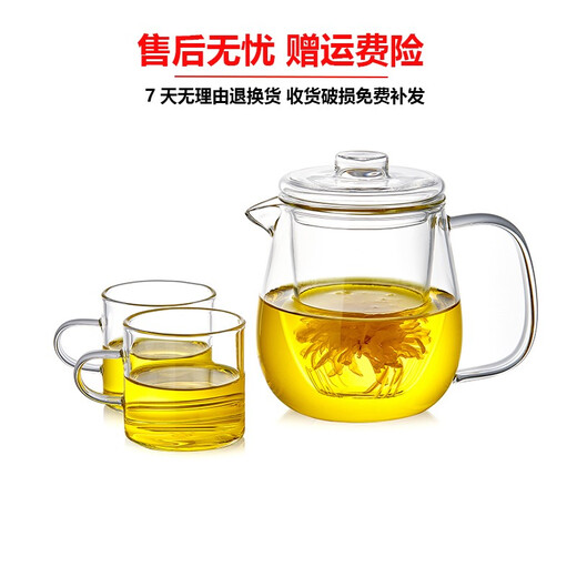 Xuanshitang teapot glass high temperature resistant teapot glass tea set set filtered tea separation cup kettle flower teapot home Penguin teapot 650ml (with 2 cups)