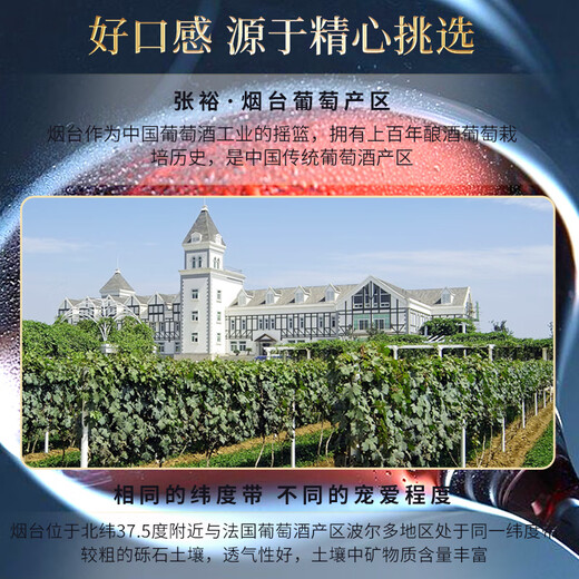 Changyu Special Seleh Syrah Dry Ract Wine 750ml*6 Botellas Box Whole Wine Domestic Vino