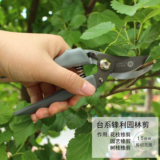 Japanese Fukuoka tools garden pruners, fruit tree scissors, pruning shears, branch shears, gardening tools, powerful pruning shears 200mm FO-4308A