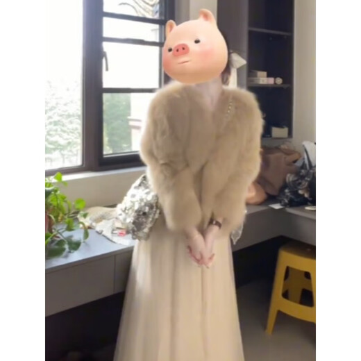 Tafu brand women's fox fur coat for women 2025 winter new small short small fragrance style fur coat apricot color L
