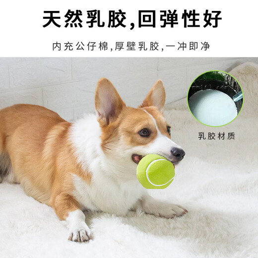 EETOYS Green Tennis Dog Toy Sound Interactive Washable Teeth Cleaning Ball Pet Supplies