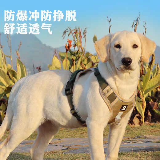 COCS dog harness for medium and large dogs, vest-type traction rope, anti-collision and explosion-proof Labrador Golden Retriever Shiba Inu border collie dog leash 1 Khaki dog harness - 1.5m dog leash 1 L-(chest 54-71cm recommended 28-45 Jin Jin equals 0.5 kg)