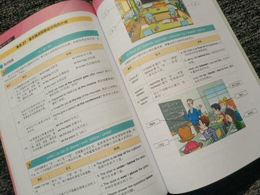 新东方 10天掌握PET语法  适用2024考试对应朗思B1青少版